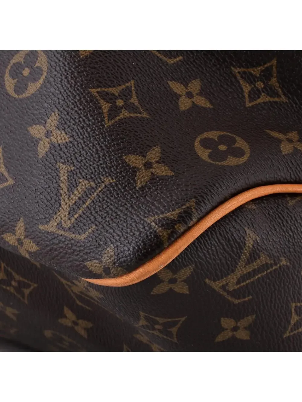 Louis Vuitton Delightful Handbag Canvas #340655L19B